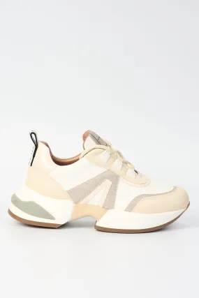 Alexander Smith Sneaker White/Gold Women's