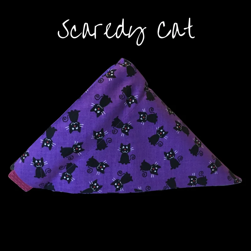 Bandana for Scaredy Cats | Reduce Anxiety and Fear in Cats