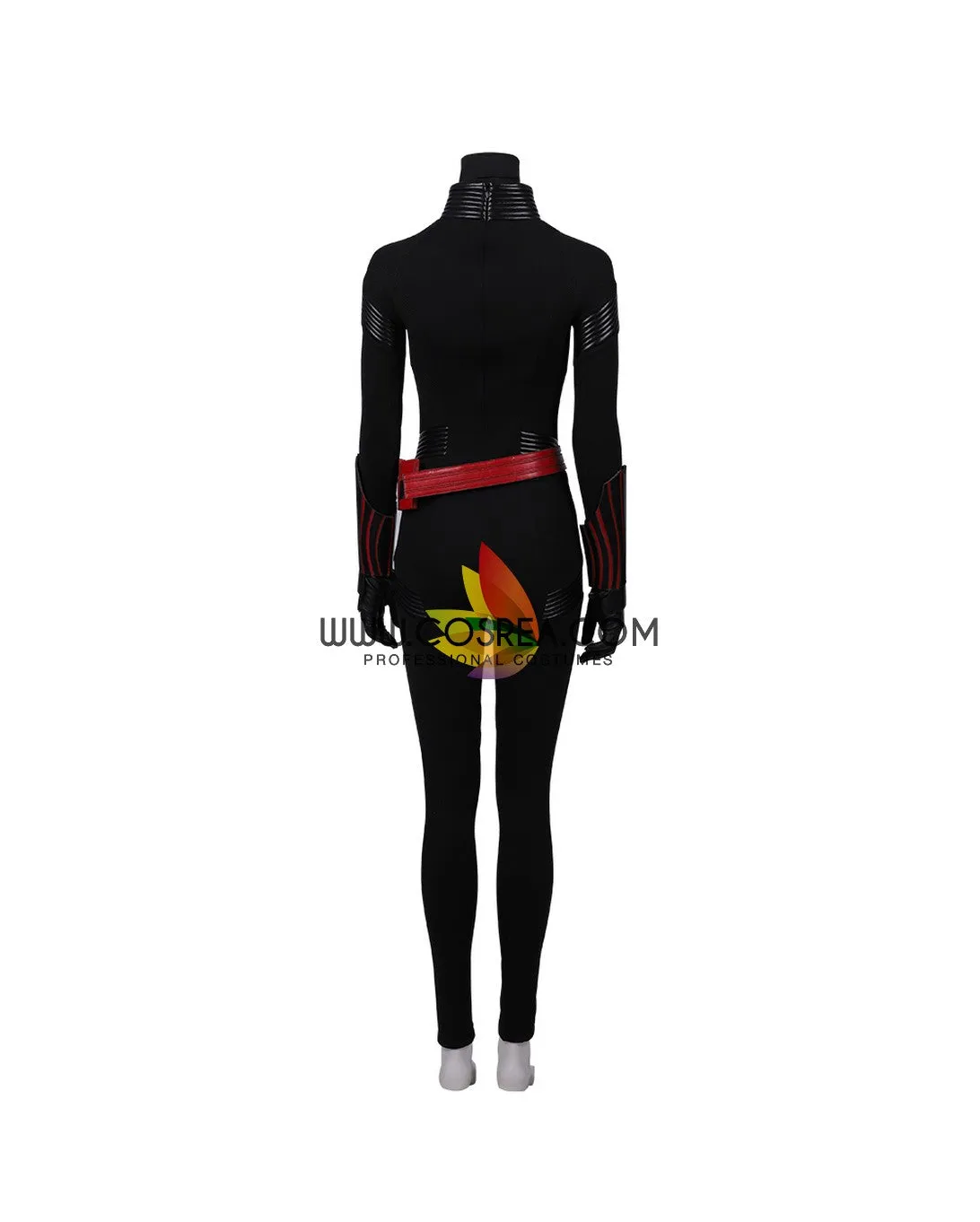 Batwoman Cosplay Costume