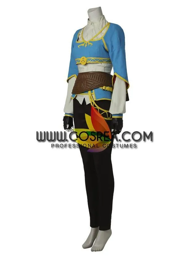 Breath of the Wild Zelda costume for cosplay