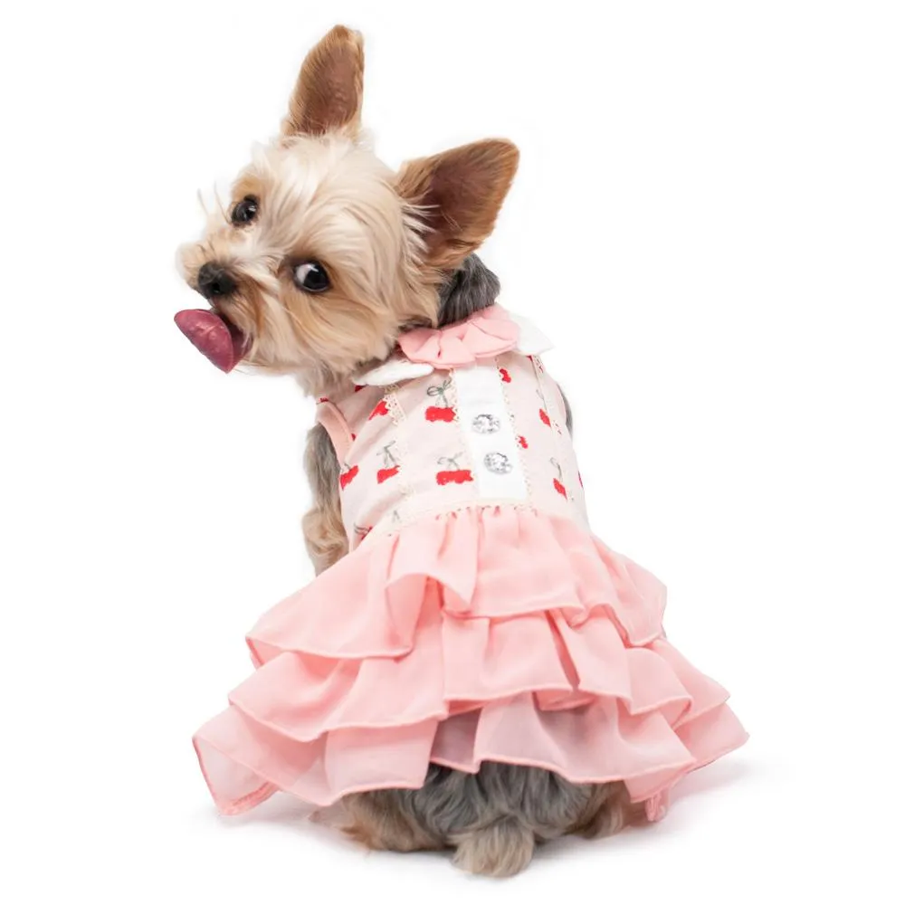 Cherry Dog Dress