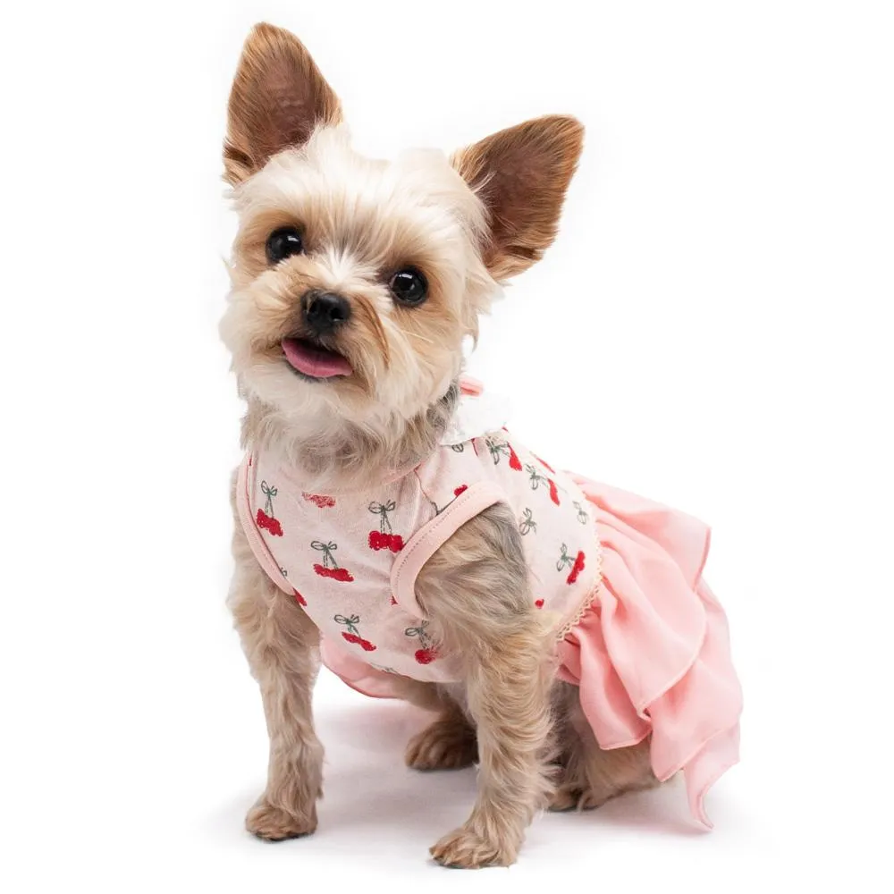 Cherry Dog Dress