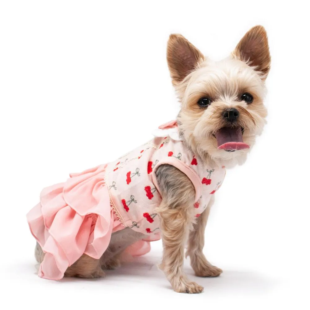 Cherry Dog Dress