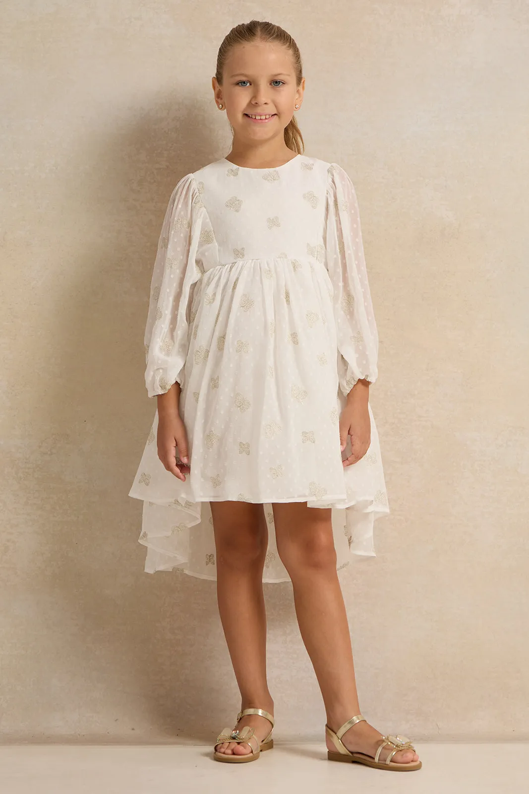 Girls Butterfly Embroidery Chiffon Dress