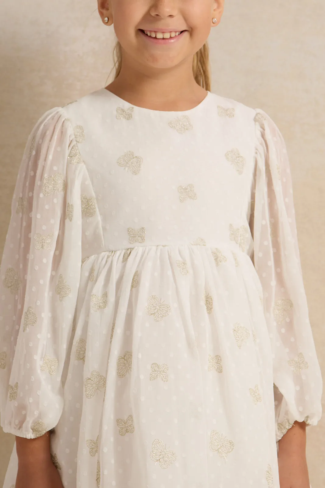 Girls Butterfly Embroidery Chiffon Dress