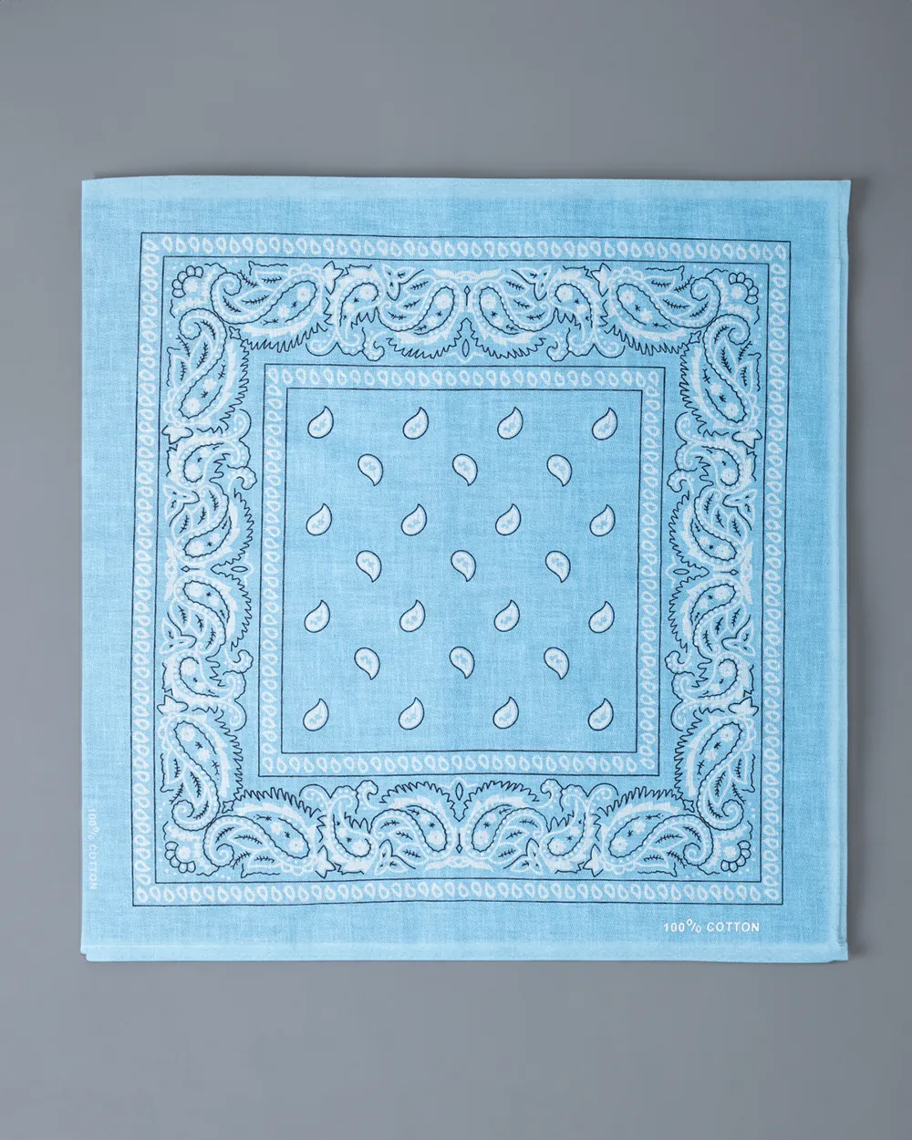 Light Blue Paisley - Get the Best Deals on Light Blue Paisley