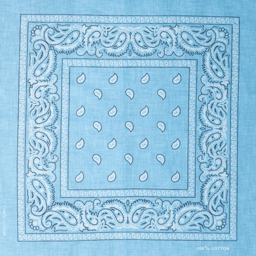 Light Blue Paisley - Get the Best Deals on Light Blue Paisley