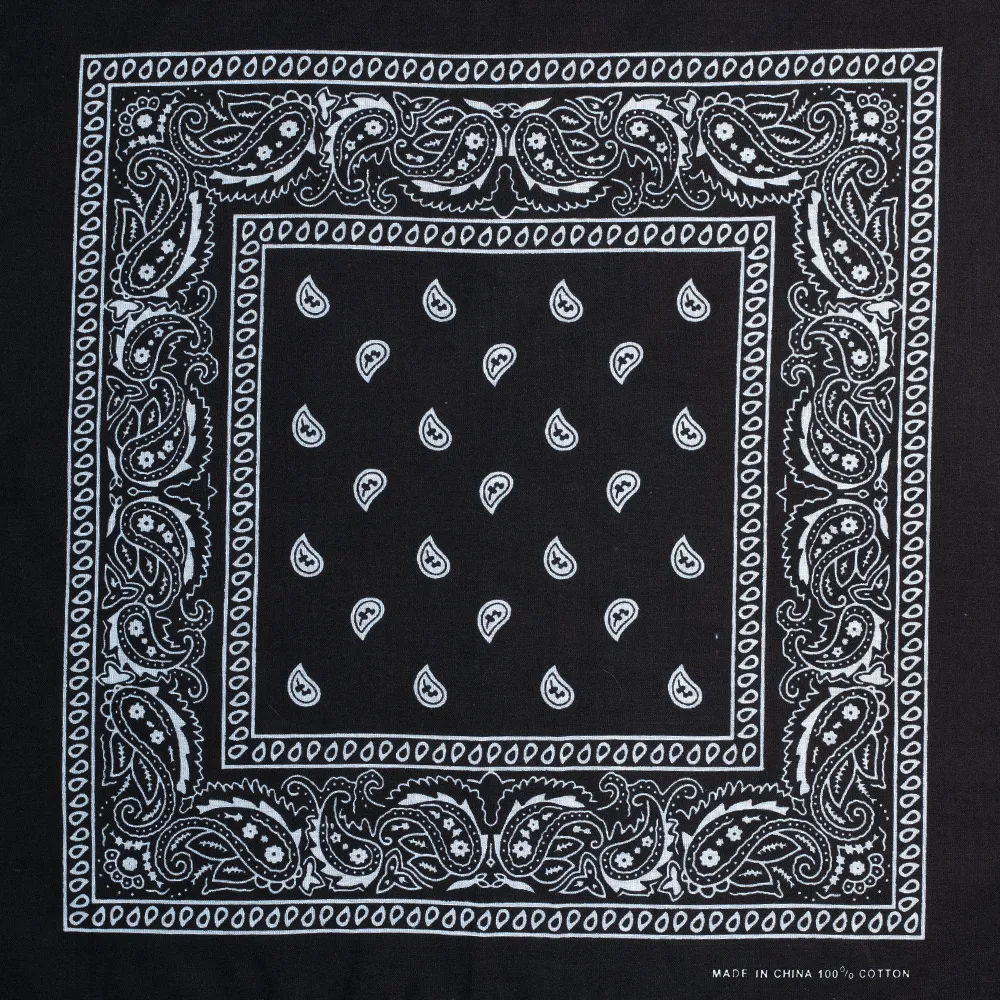 Result: Black Paisley - Discover the Best Collection Online