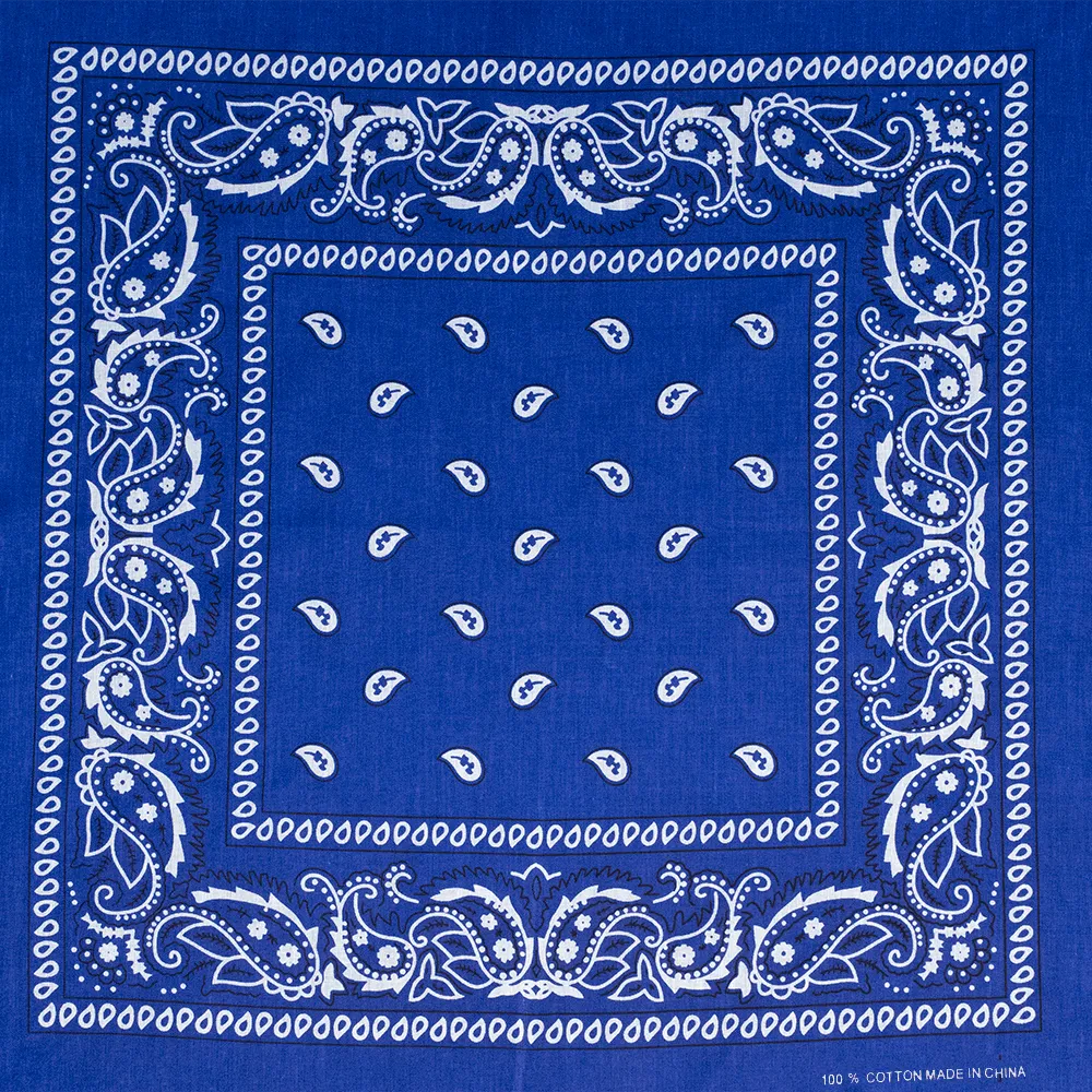 Royal Blue Paisley - Shop Now!